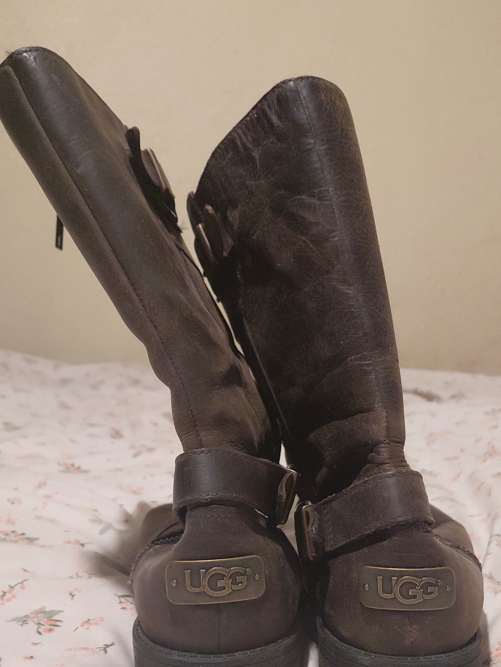 UGG Women's Dark Brown Tall Leather Moto Boots with Buckle